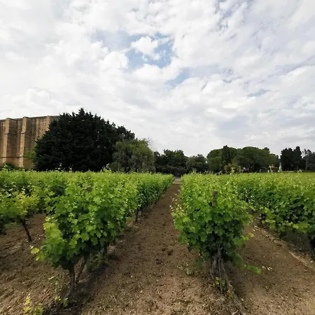 Sejour Au Calme Au Milieu Des Vignes Nyaraló