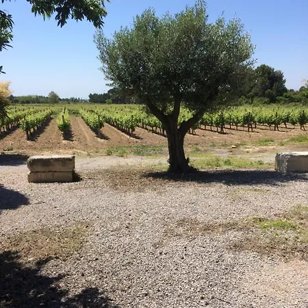 Sejour Au Calme Au Milieu Des Vignes *