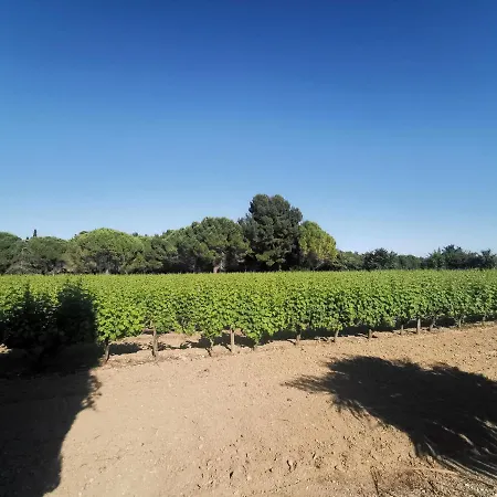Sejour Au Calme Au Milieu Des Vignes
