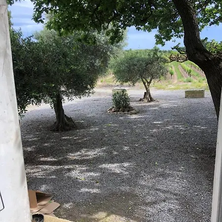 Sejour Au Calme Au Milieu Des Vignes Nyaraló